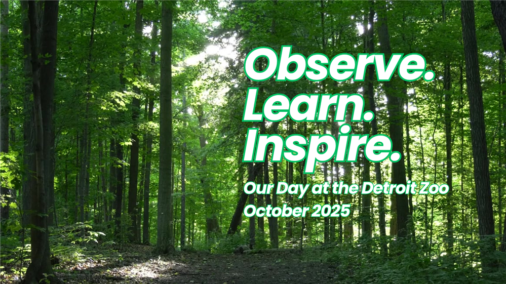  words on a forest background